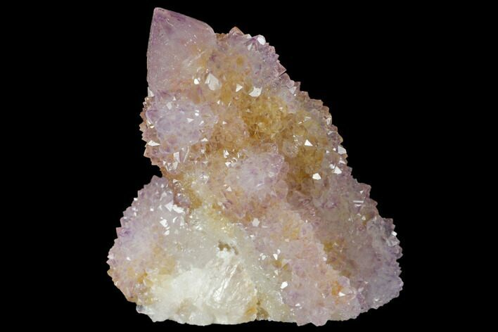 Cactus Quartz (Amethyst) Crystal Cluster - South Africa #132490